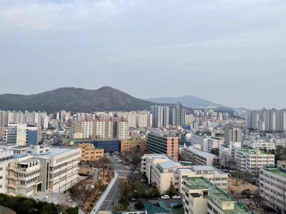 釜山大学からみた街の眺め